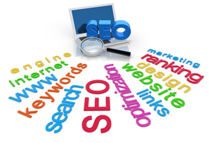 Search Engine Optimization & SEO Services